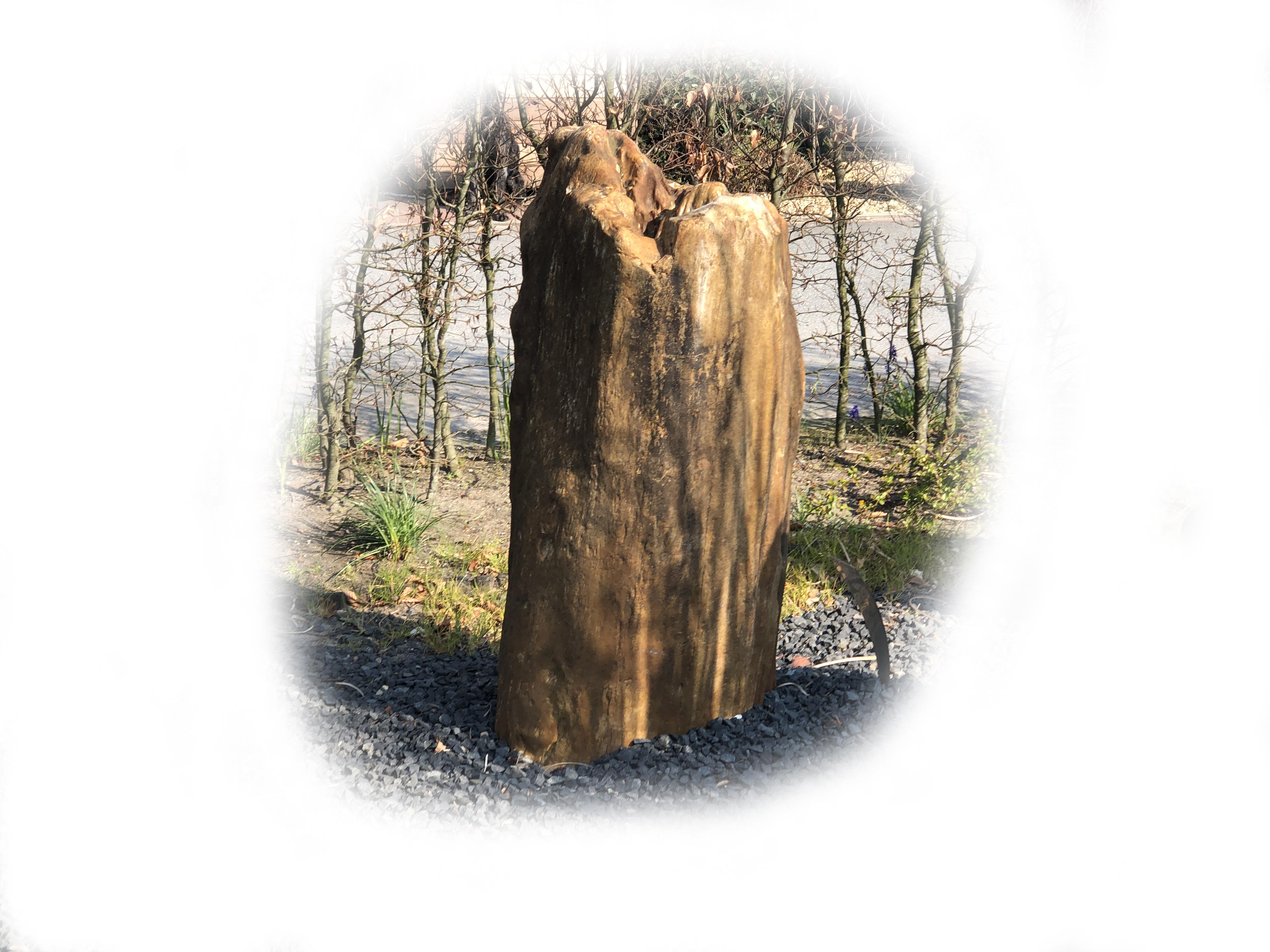 Versteend hout K-132