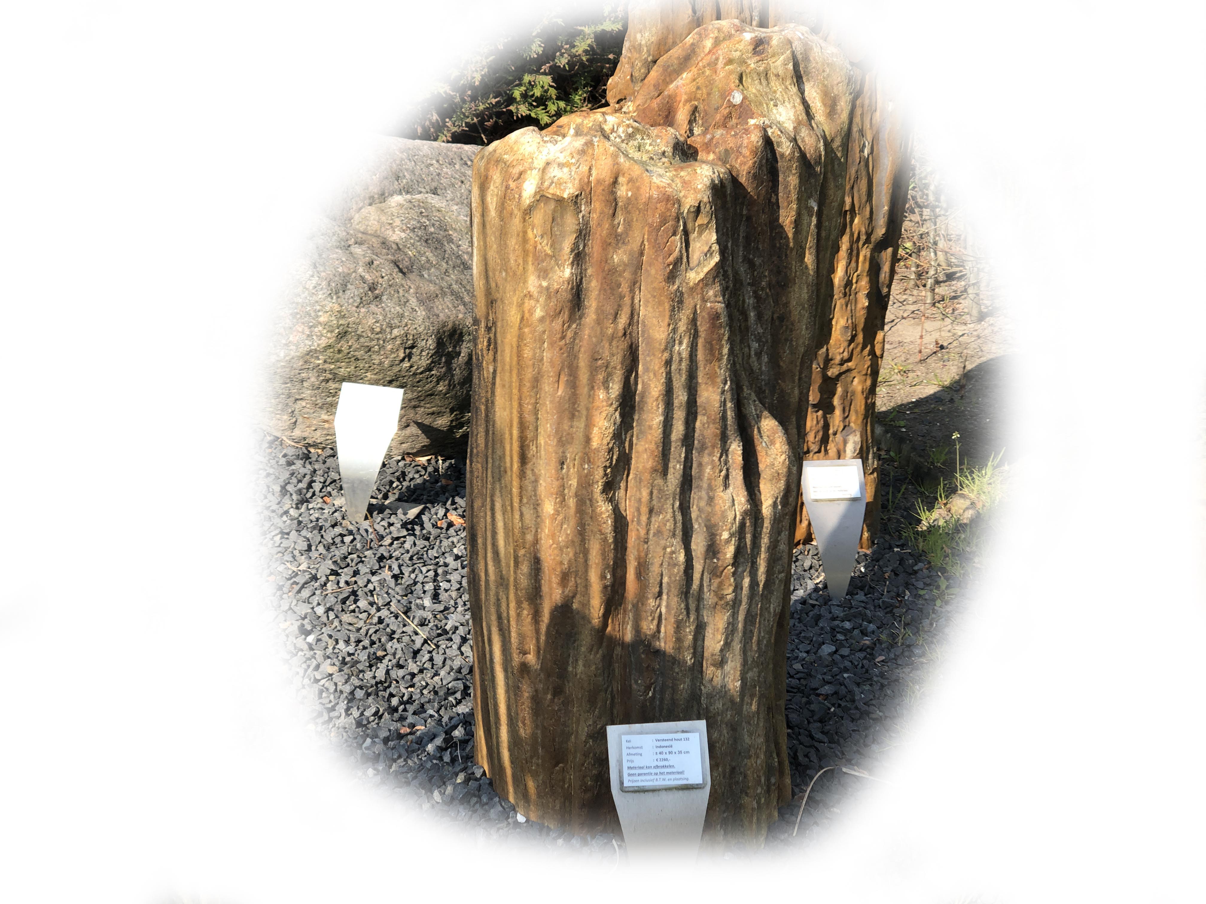 Versteend hout K-132