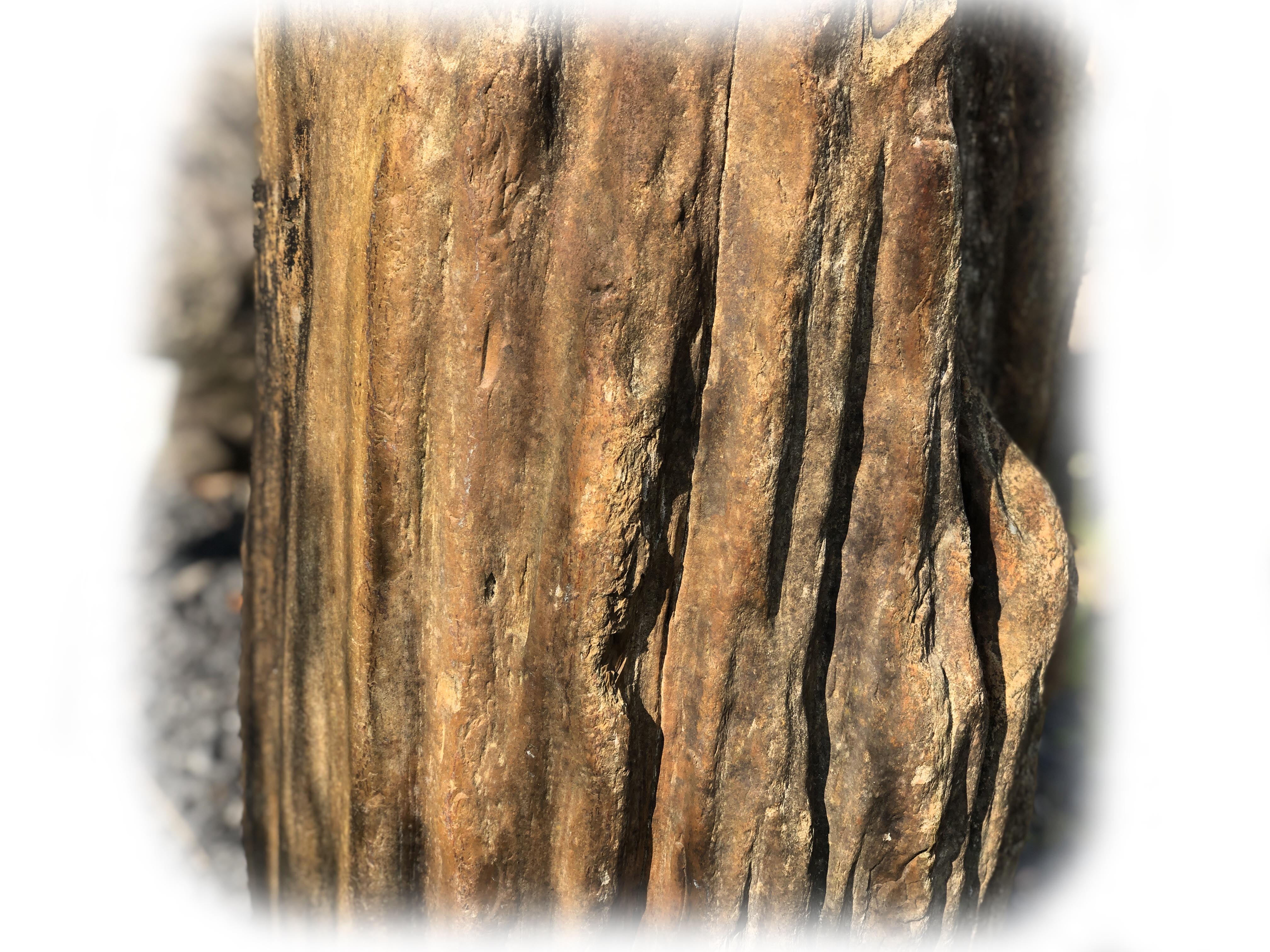 Versteend hout K-132