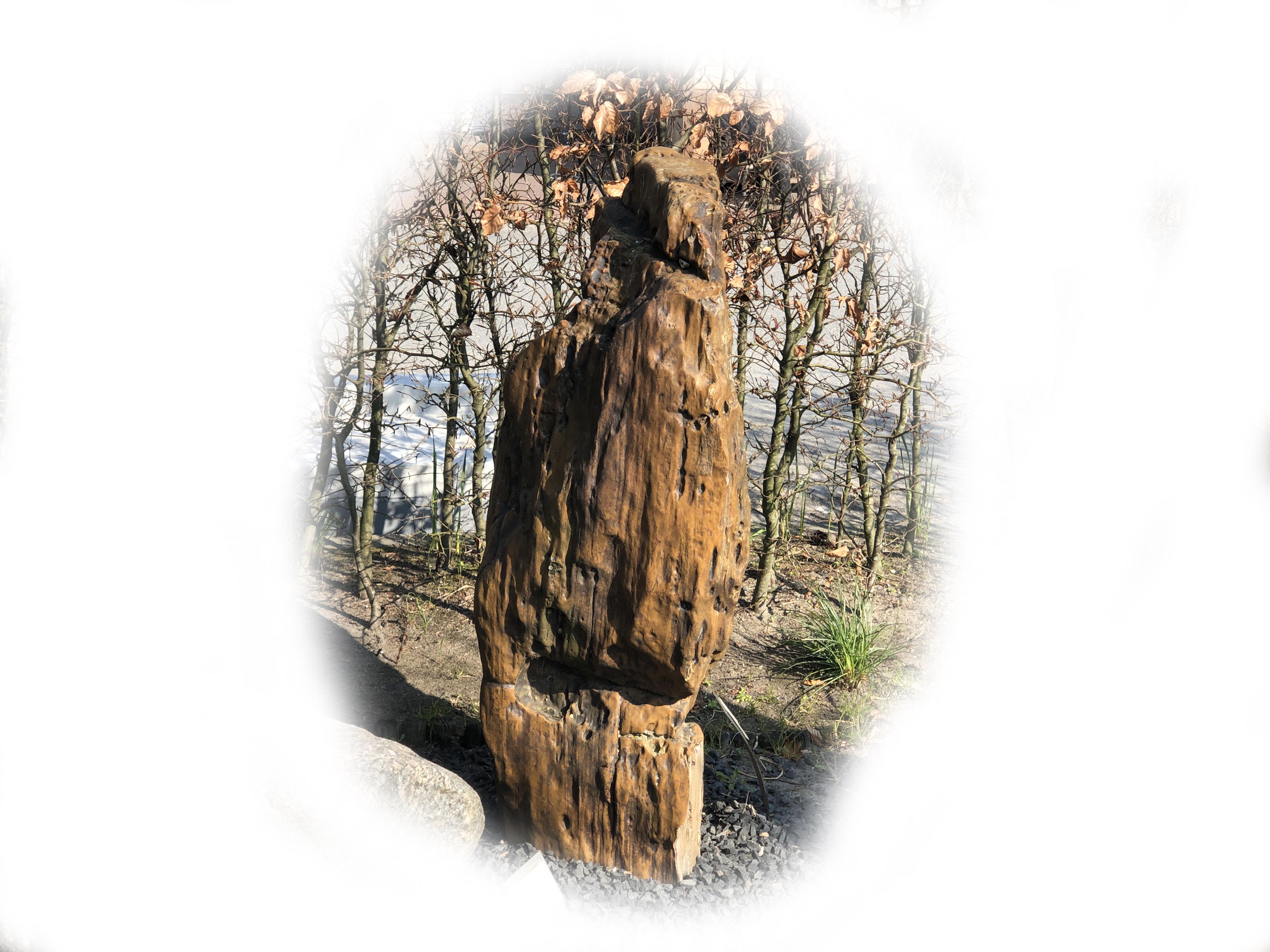 Versteend hout K-133