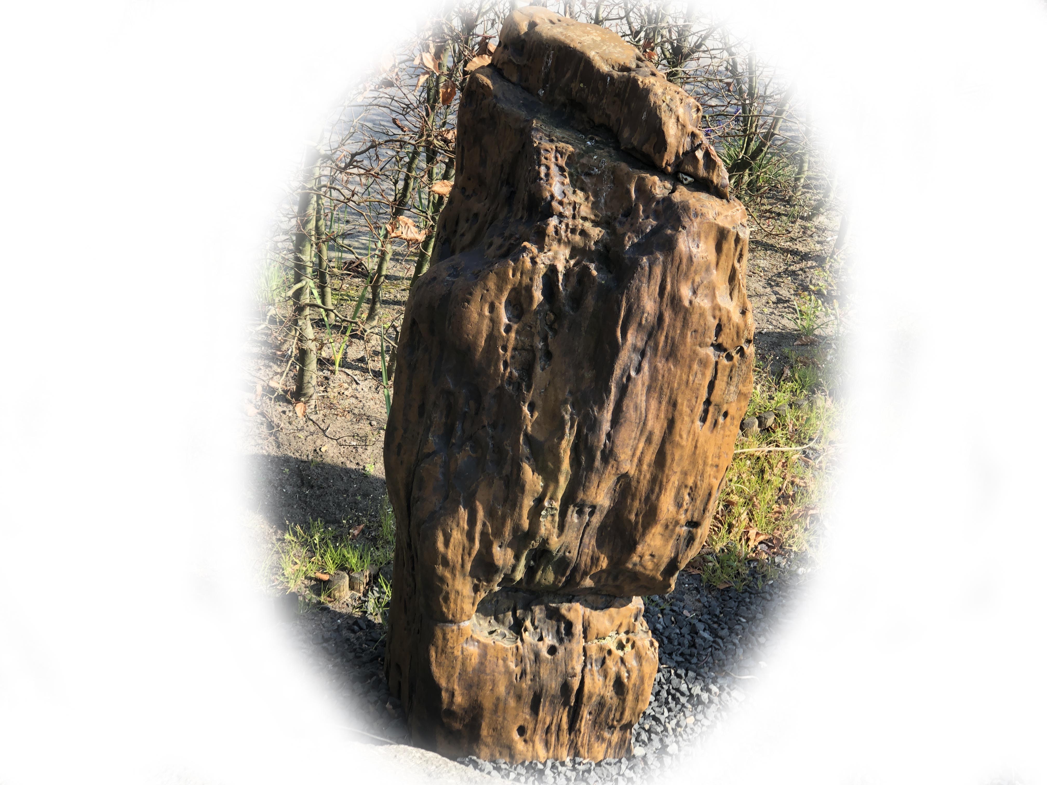 Versteend hout K-133