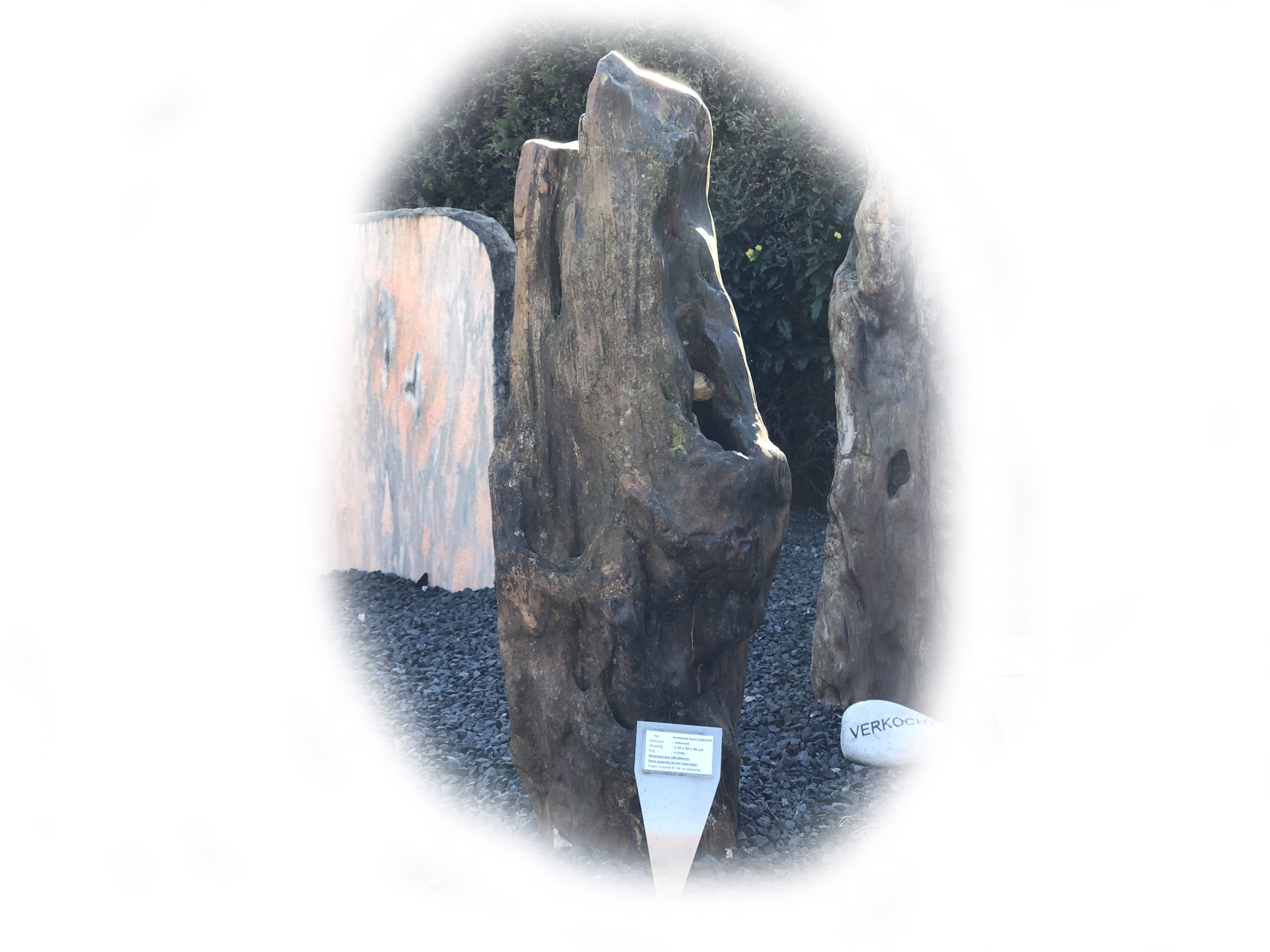 Versteend hout K-141