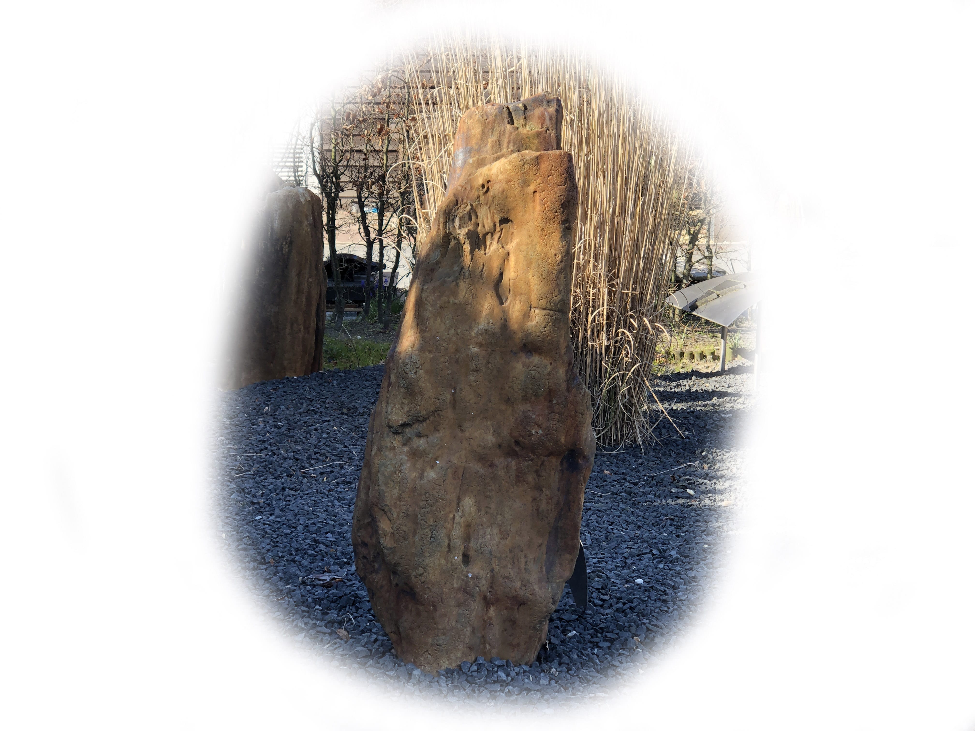 Versteend hout K-141