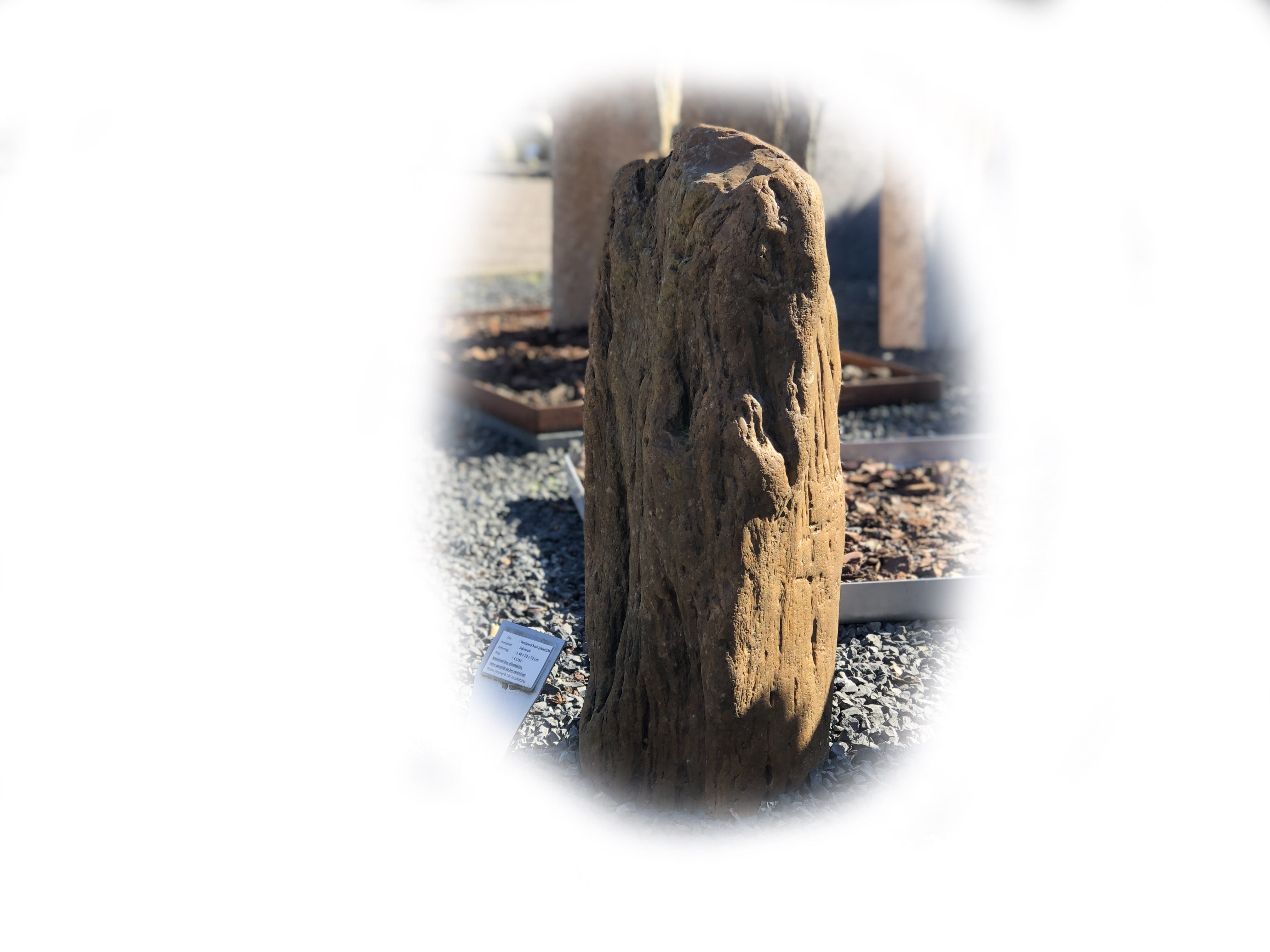 Versteend hout K-138