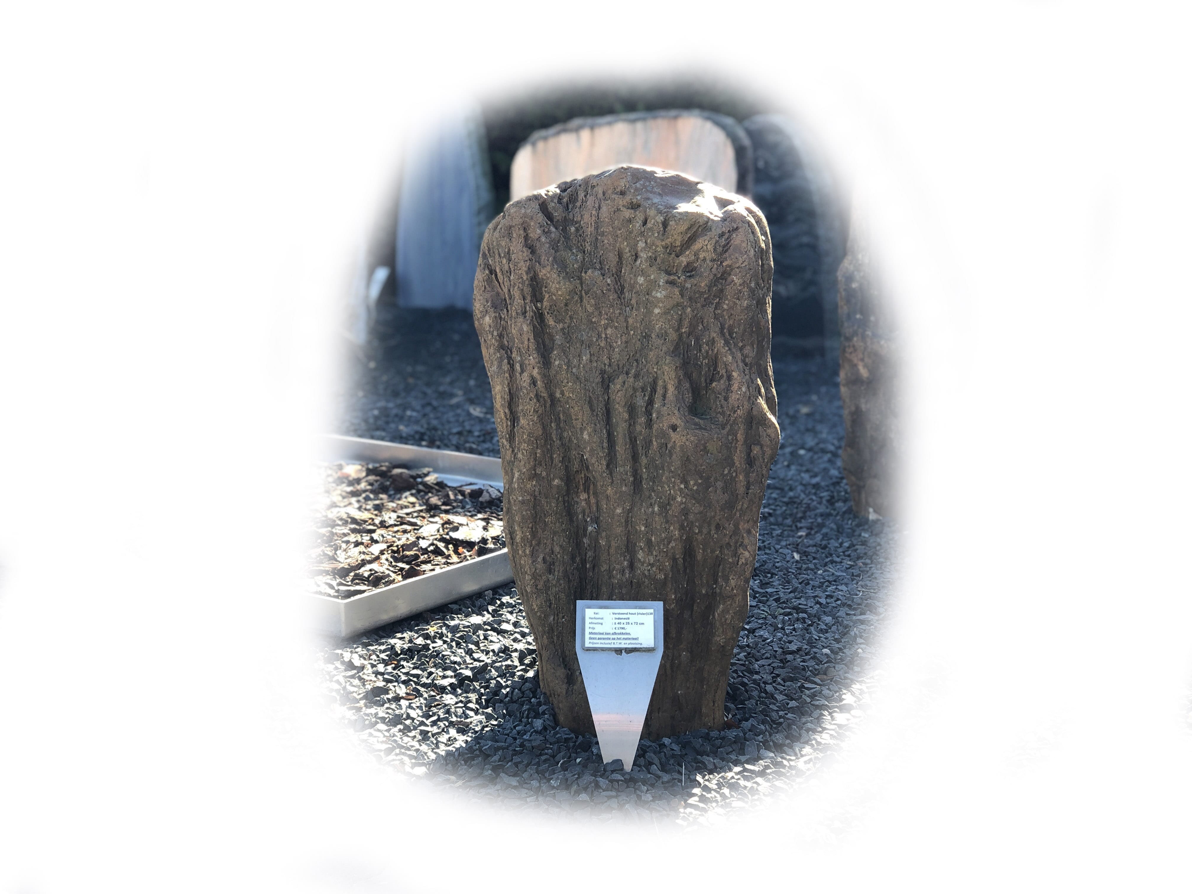 Versteend hout K-138