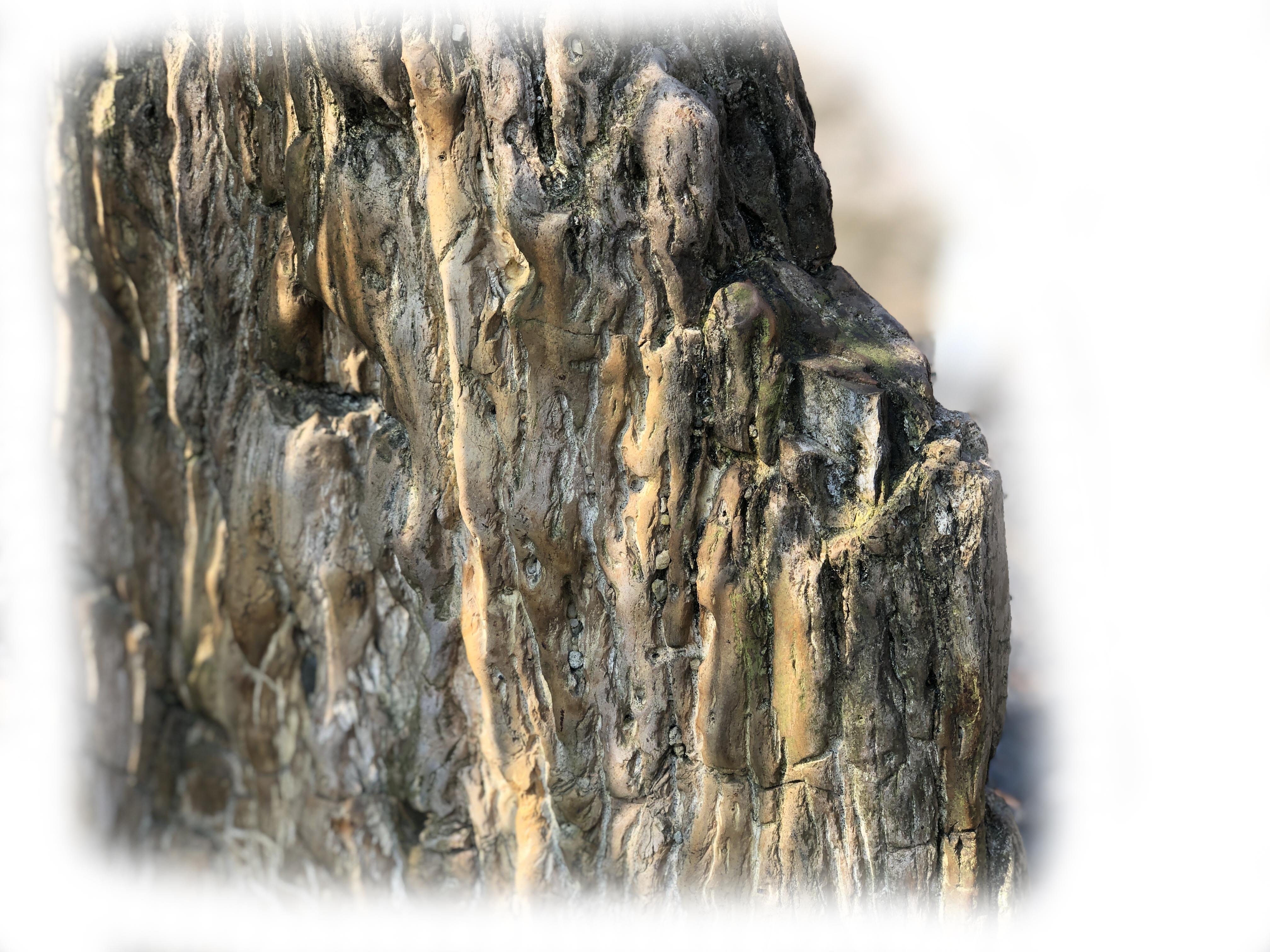 Versteend hout K-136