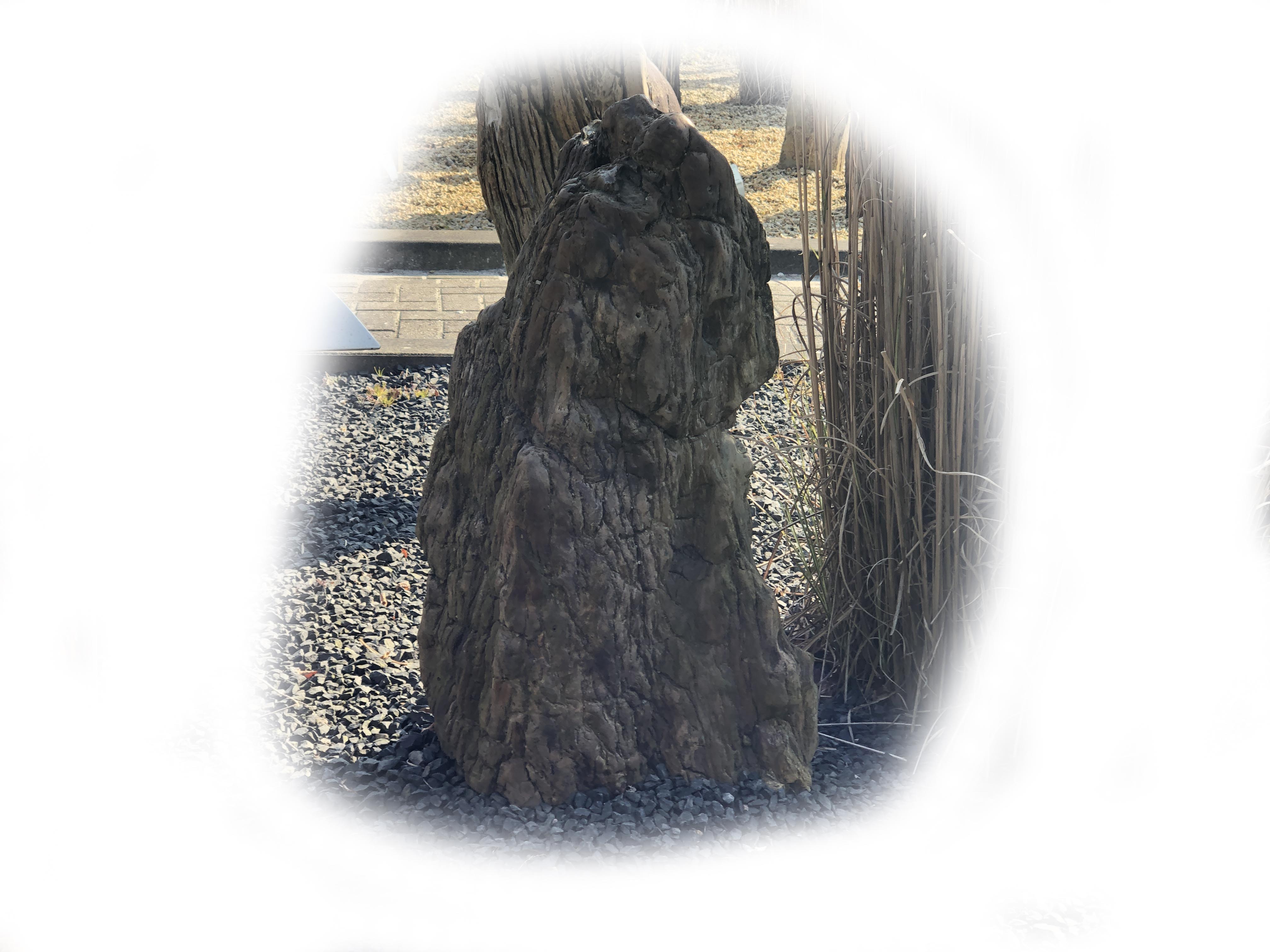 Versteend hout K-136