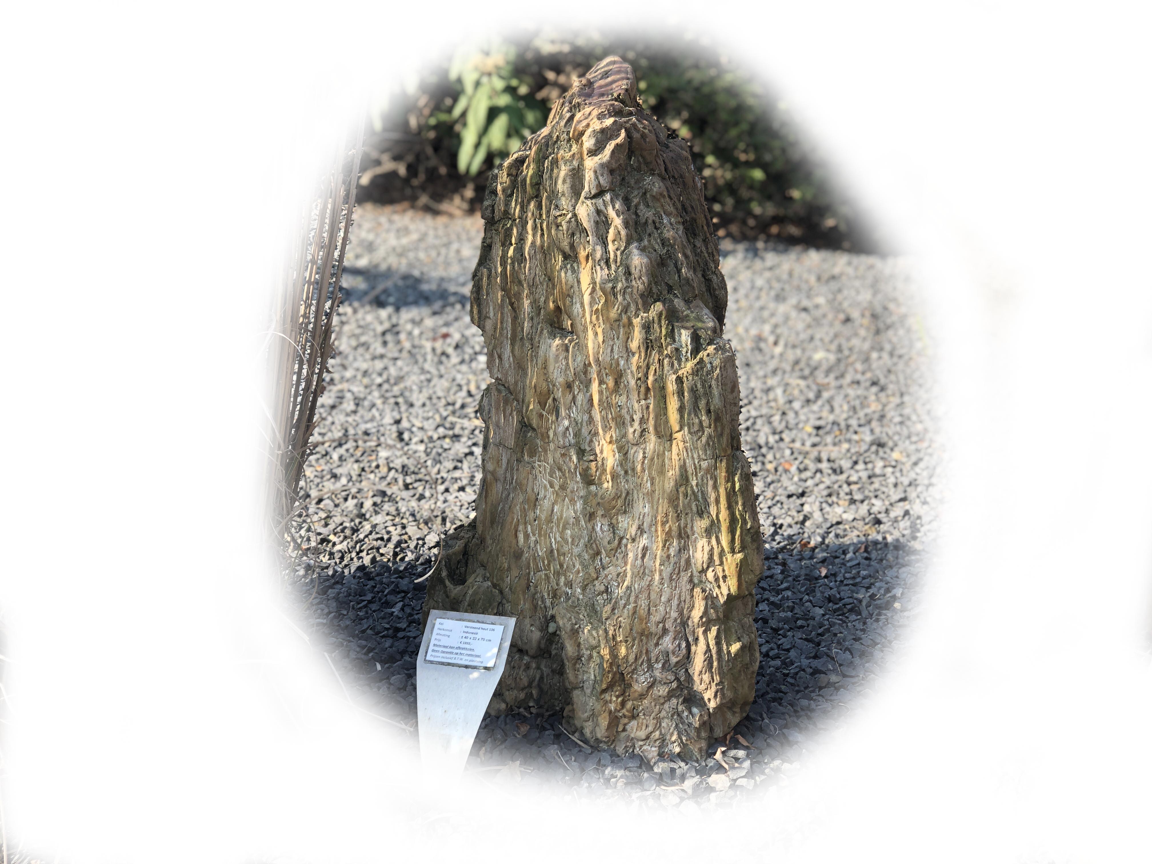 Versteend hout K-136