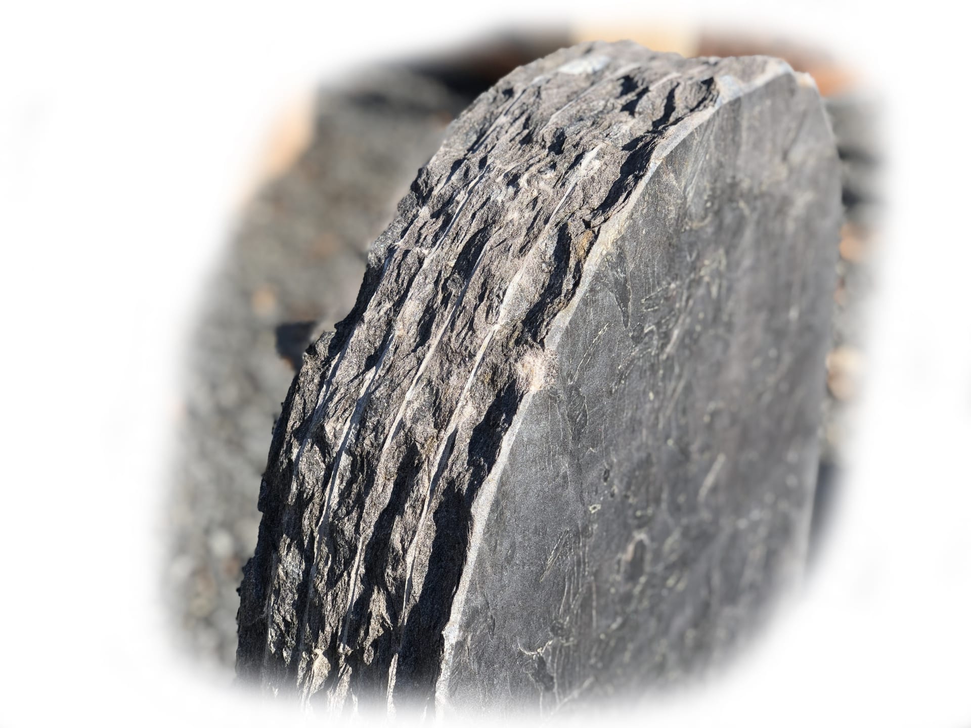 Pillarguri Leisteen 54