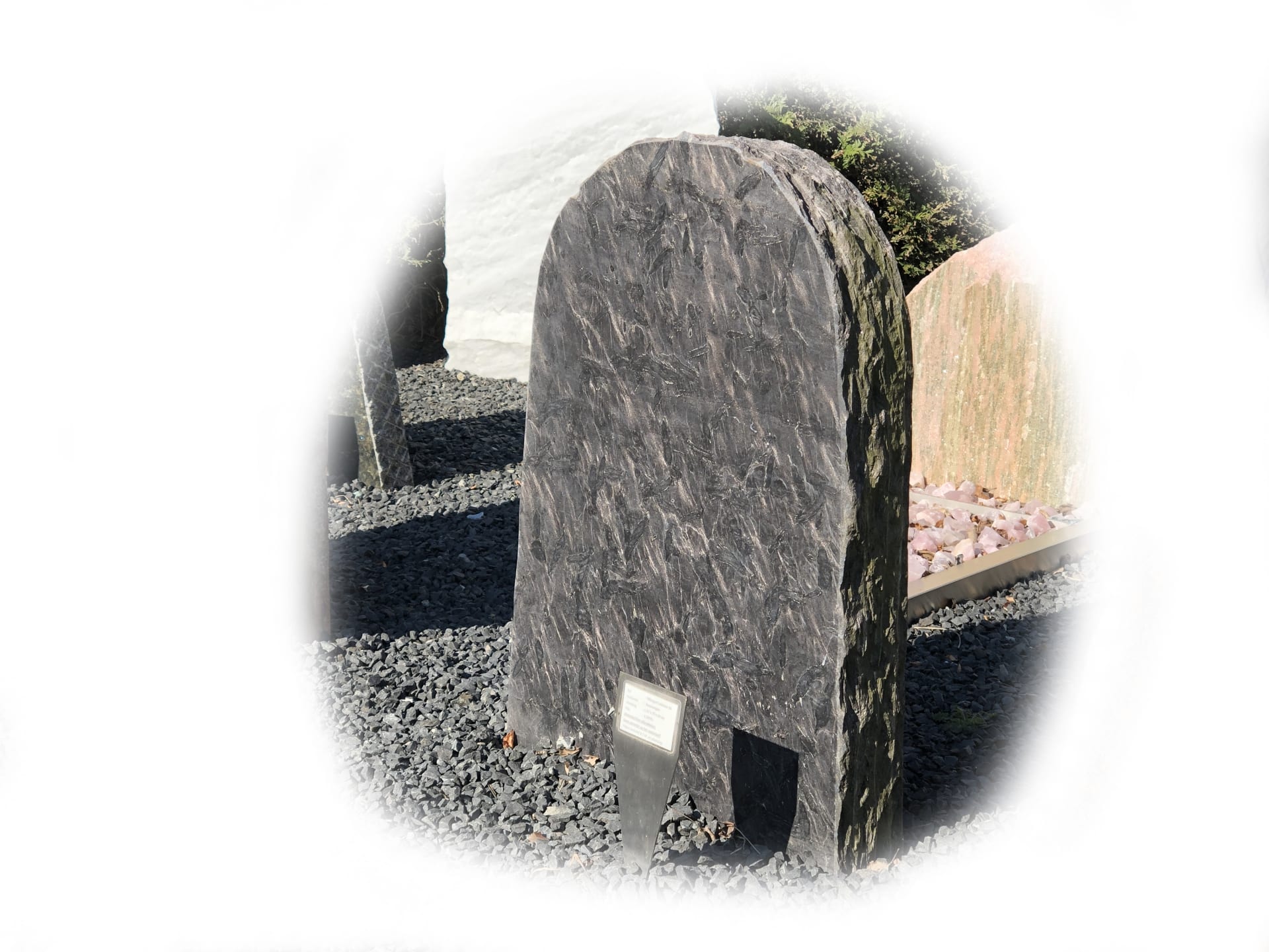 Pillarguri Leisteen 54