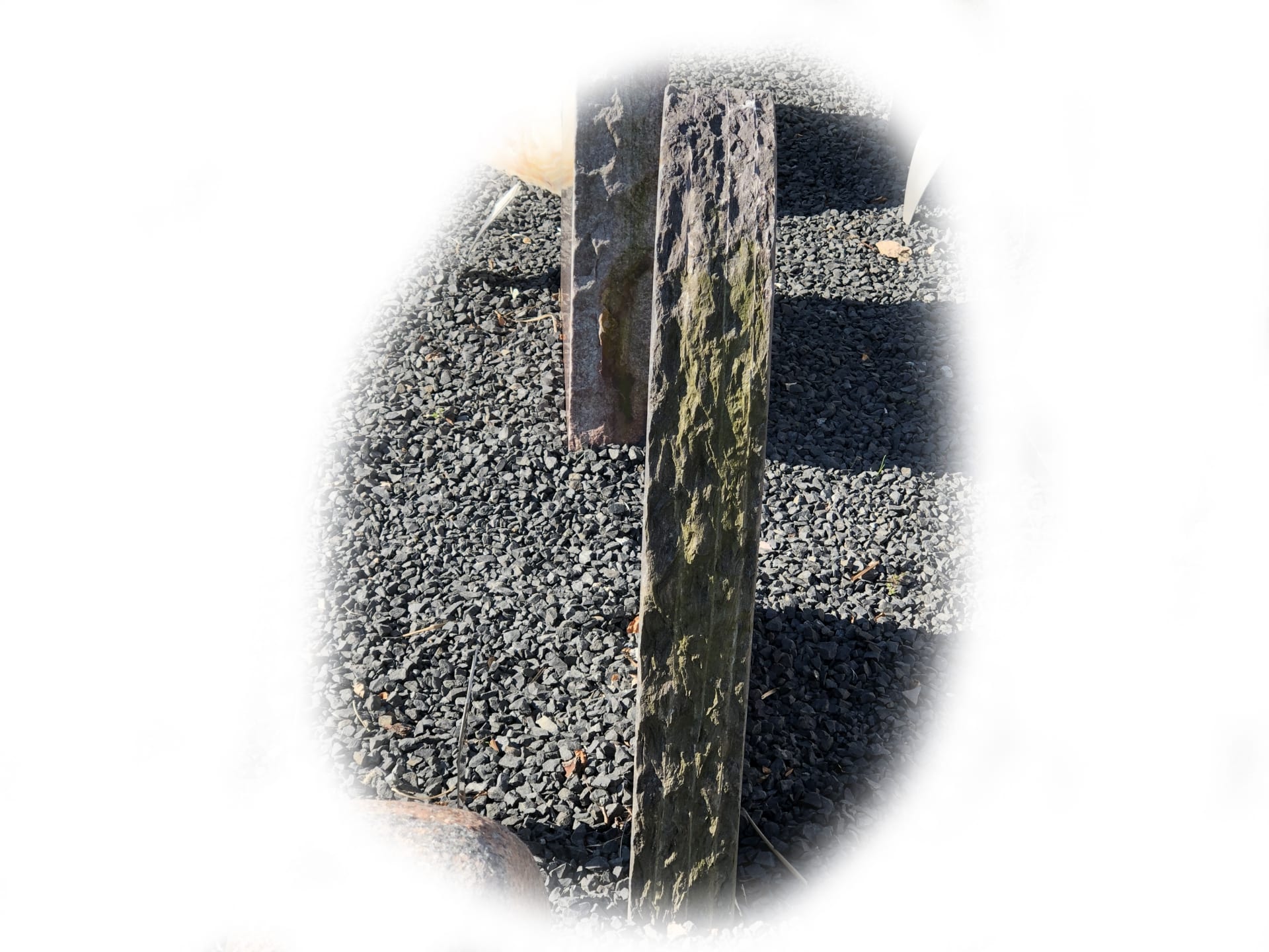 Pillarguri Leisteen 54