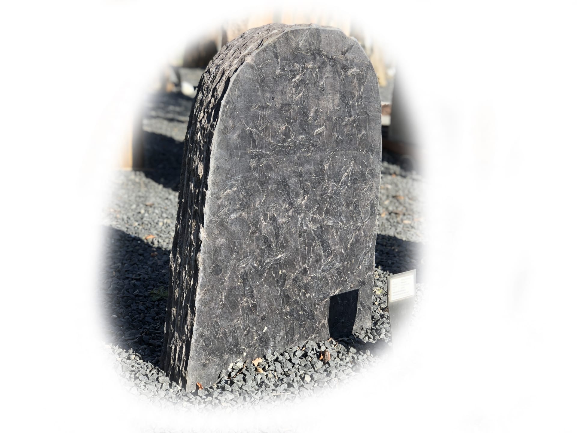 Pillarguri Leisteen 54