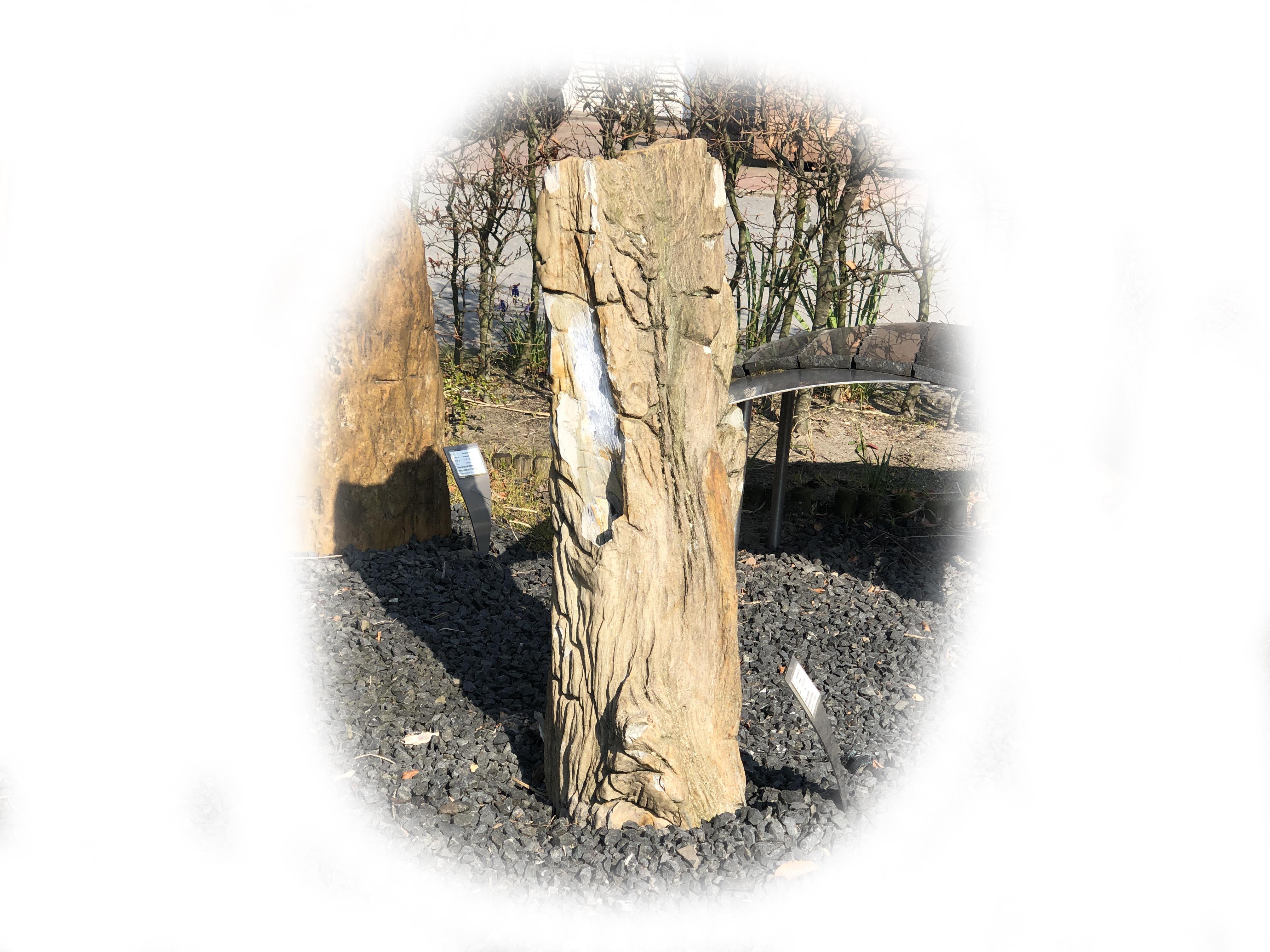 Versteend hout K-135