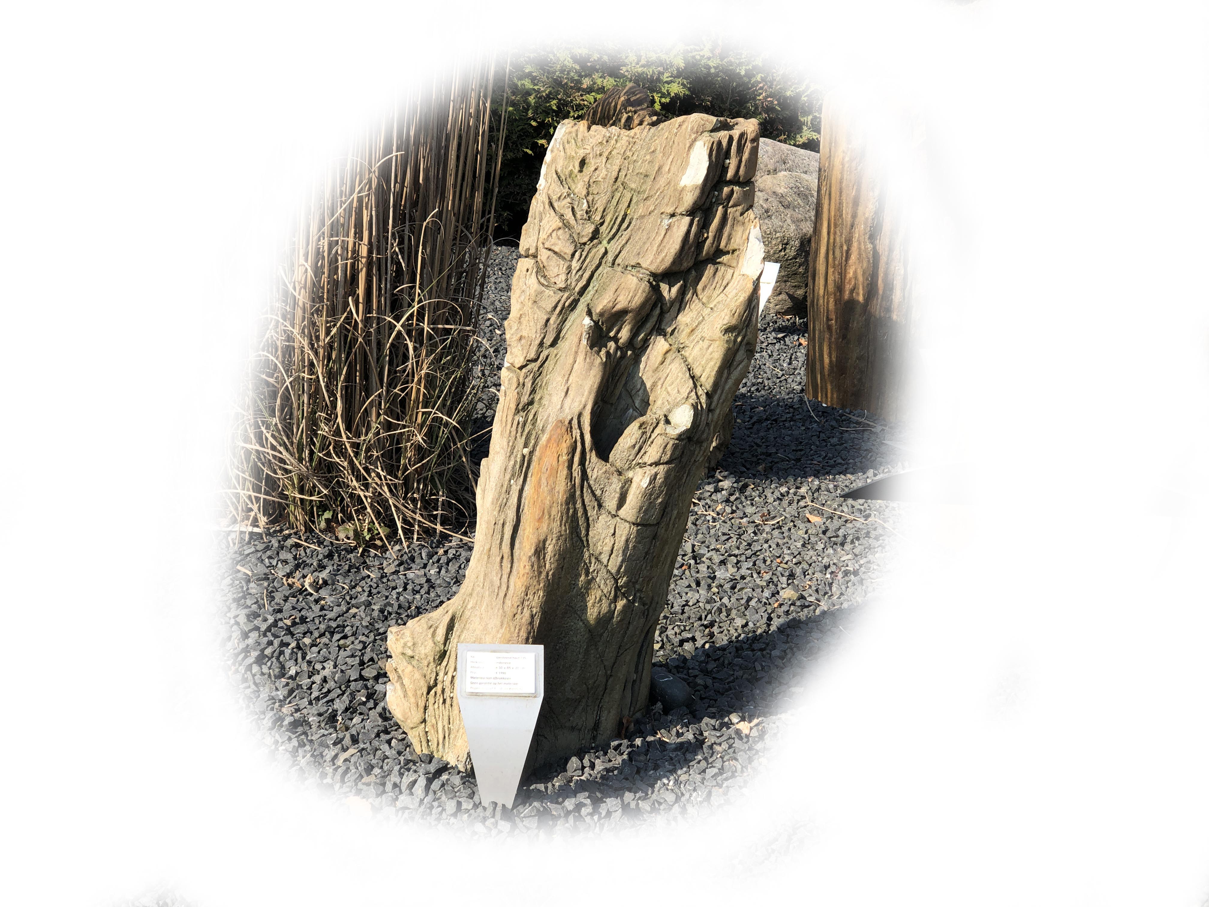 Versteend hout K-135