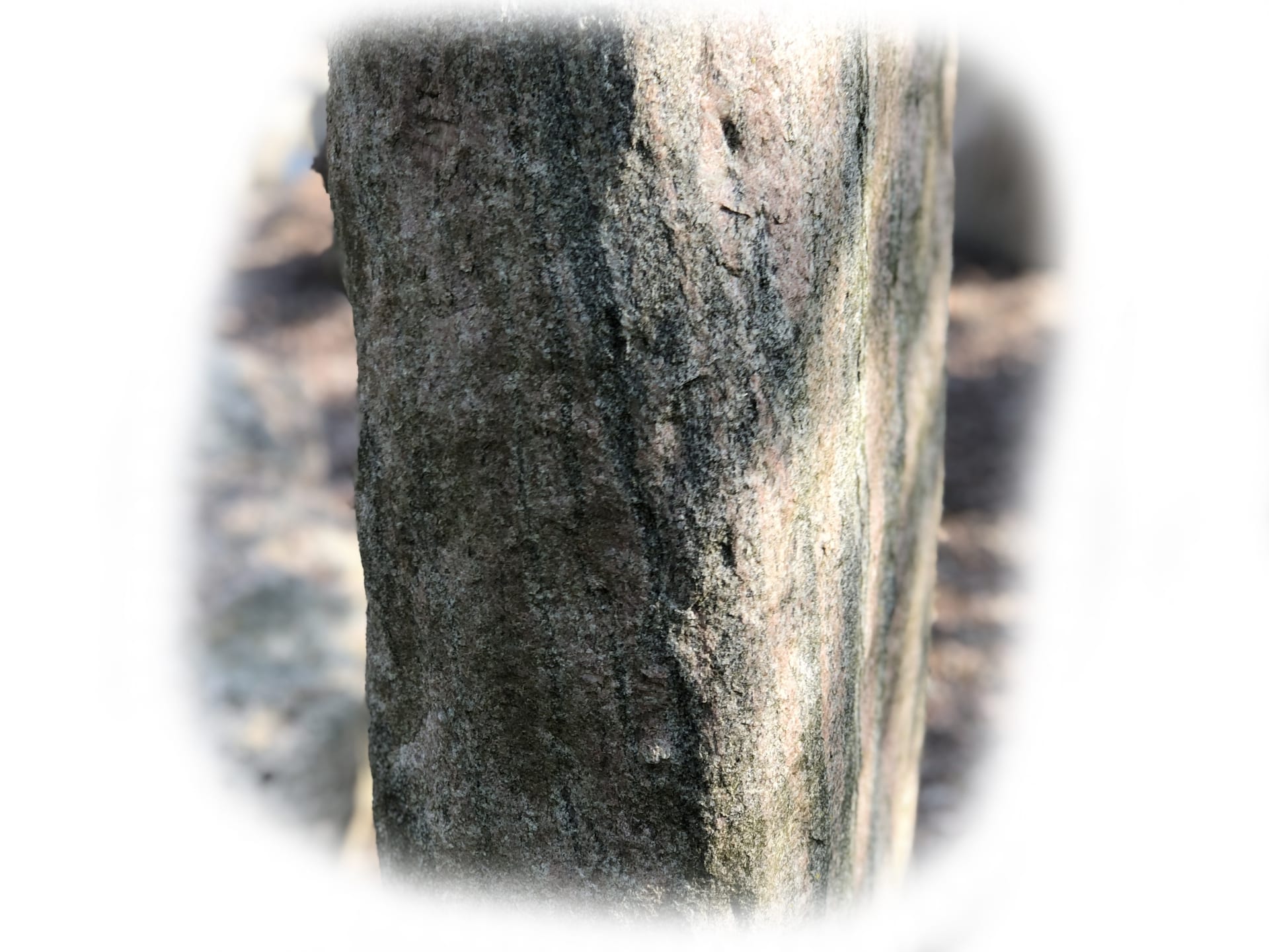 Himalaya Graniet Zuil 229